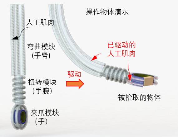 https://mmbiz.qpic.cn/mmbiz_png/LJiau2qPWAcXtNZxgc1iaXvm6lerwzzesfkAWmMeecDEj3kiav9fLOIttwKHrvUKOT1piamSDol3Al9DfGXdxAhQUg/640?wx_fmt=png&wxfrom=5&wx_lazy=1&wx_co=1