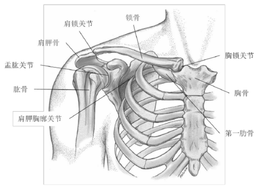 https://mmbiz.qpic.cn/mmbiz_png/LJiau2qPWAcVyeb5ECSoZicUSq714ysxzgiaa8z5SRpxVgR57RUQfCK5y40snhcZgAwkZzzEHphe2ARz2C9rZG1tg/640?wx_fmt=png&wxfrom=5&wx_lazy=1&wx_co=1